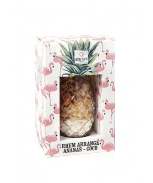 COCKTAIL fľaša v ananáse - ananás coco 215g