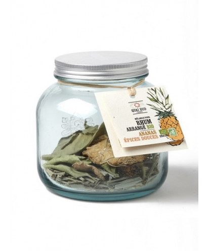 COCKTAIL dóza 40g na 0,7L ananás epices douces