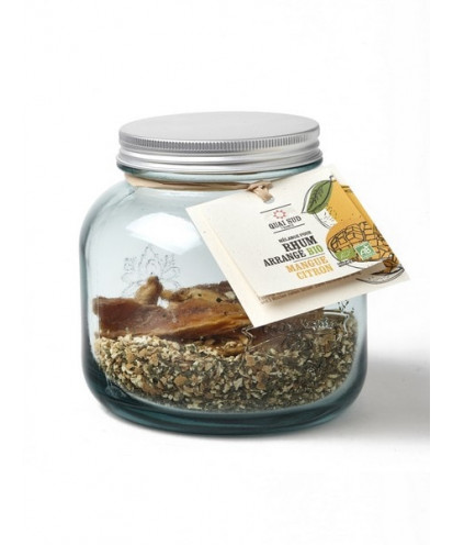 COCKTAIL dóza 90g na 0,7L Mango - citrón