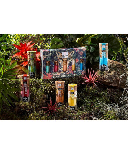 COCKTAIL PINA COLADA 110g